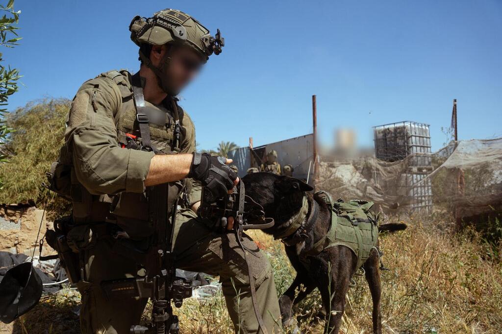 פעילות כוחות חטיבה 188 במרחב רפיח